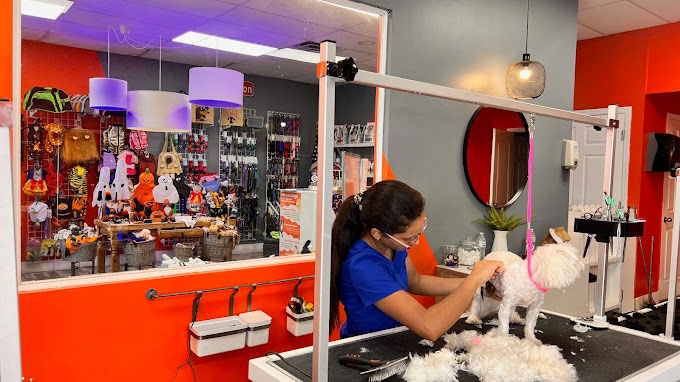 Pet Groomer from Tail Waggers Pet Grooming performing Pet Grooming services on a friendly dog